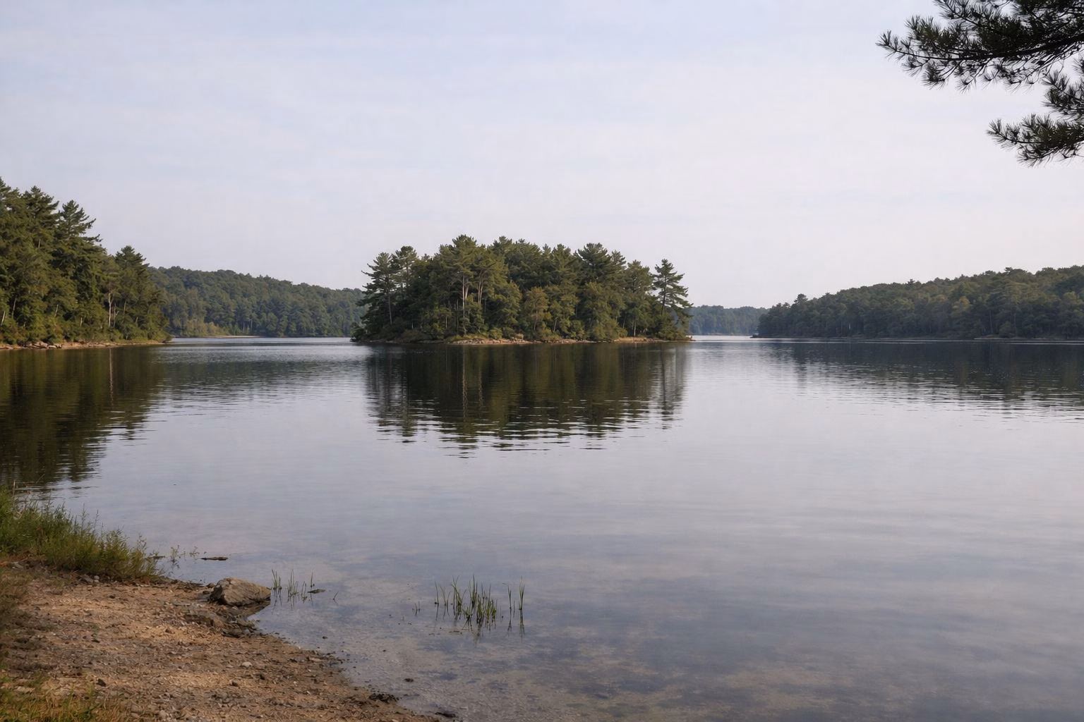 A calm lake with a low pine-covered island