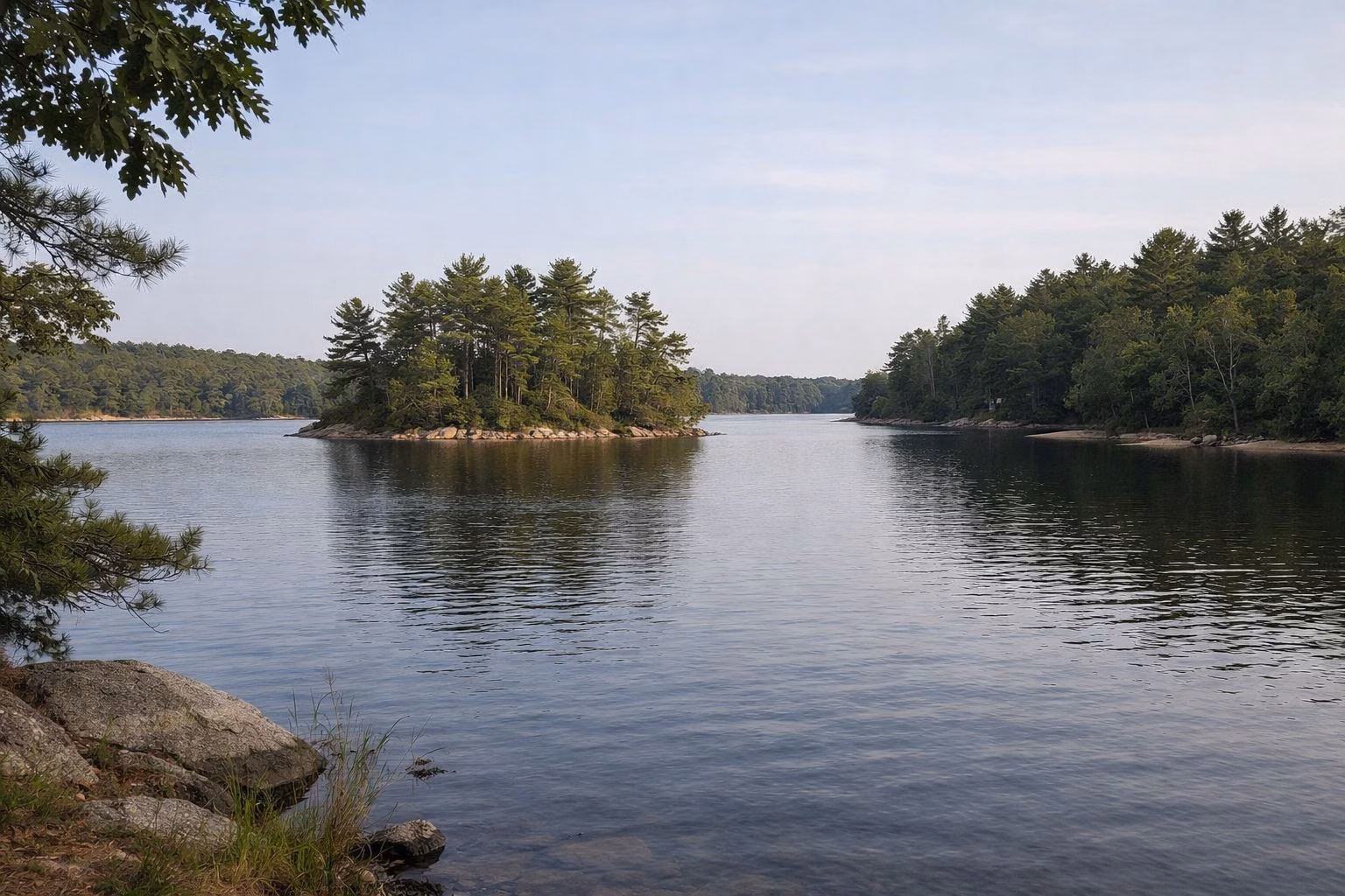 A calm wooded lake with a small pine-covered island