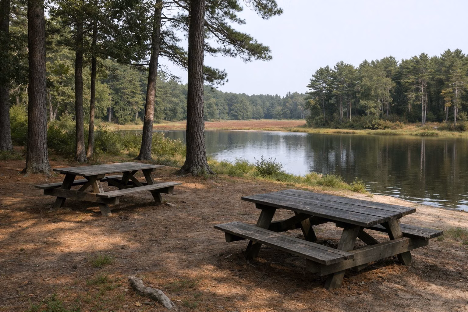 Weathered wooden picnic tables under tall pines beside a pond