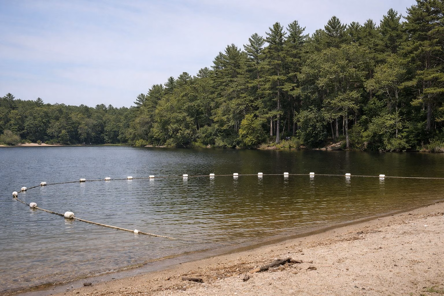 A small sandy pond beach with a roped swim area marked by white floats, pine woods behind